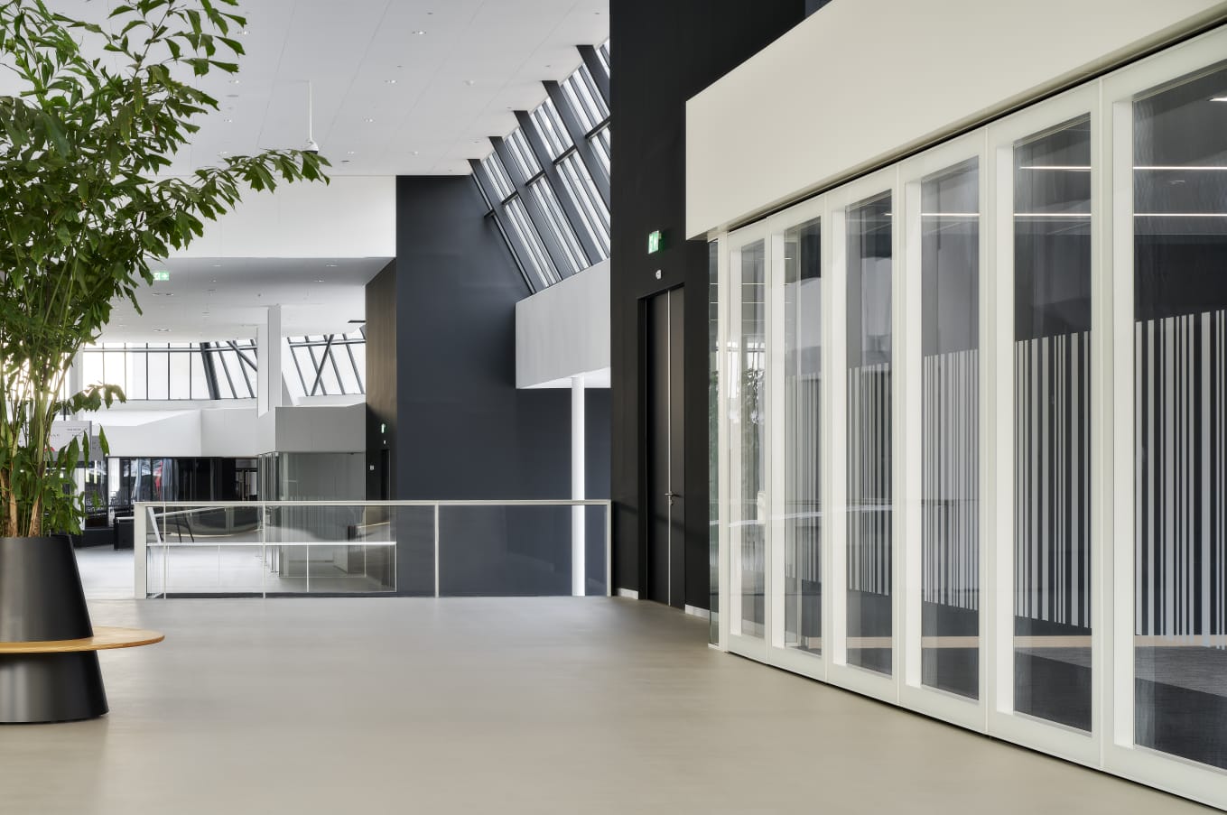 פנלים זכוכית באקוסטיקה גבוה - תמונה 5